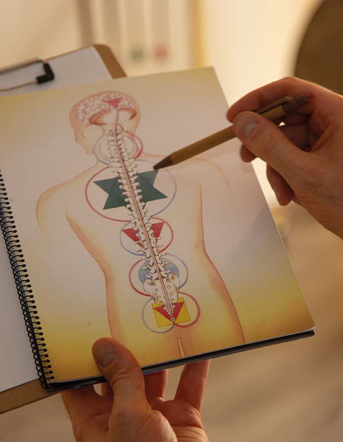 regulación sistema nervioso psicoterapia integrativa cuerpo mente calma